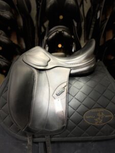 Amerigo Pinorolo 17,5”/mw 2200€